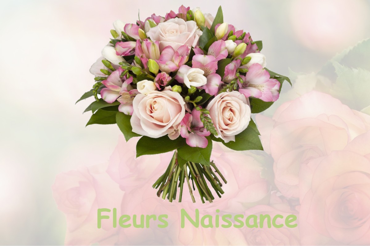 fleurs naissance PASLY